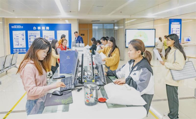 蓮湖區 數字提速、服務增效的應用與技術咨詢