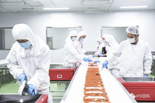 IPD在食品行業(yè)的深度應(yīng)用與技術(shù)咨詢賦能之道