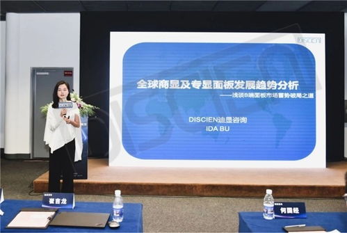 2023第二屆創(chuàng)新研討會圓滿落幕 迪顯咨詢攜手企業(yè)共探市場、應(yīng)用與技術(shù)前沿